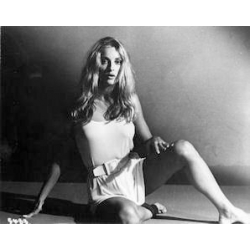 Sharon Tate Photo